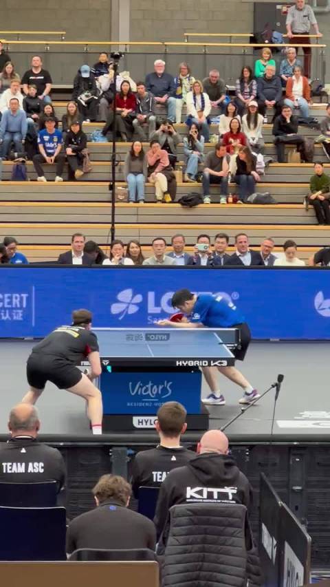 樊振东擦边球引爆球迷争议 球场内外上演多线博